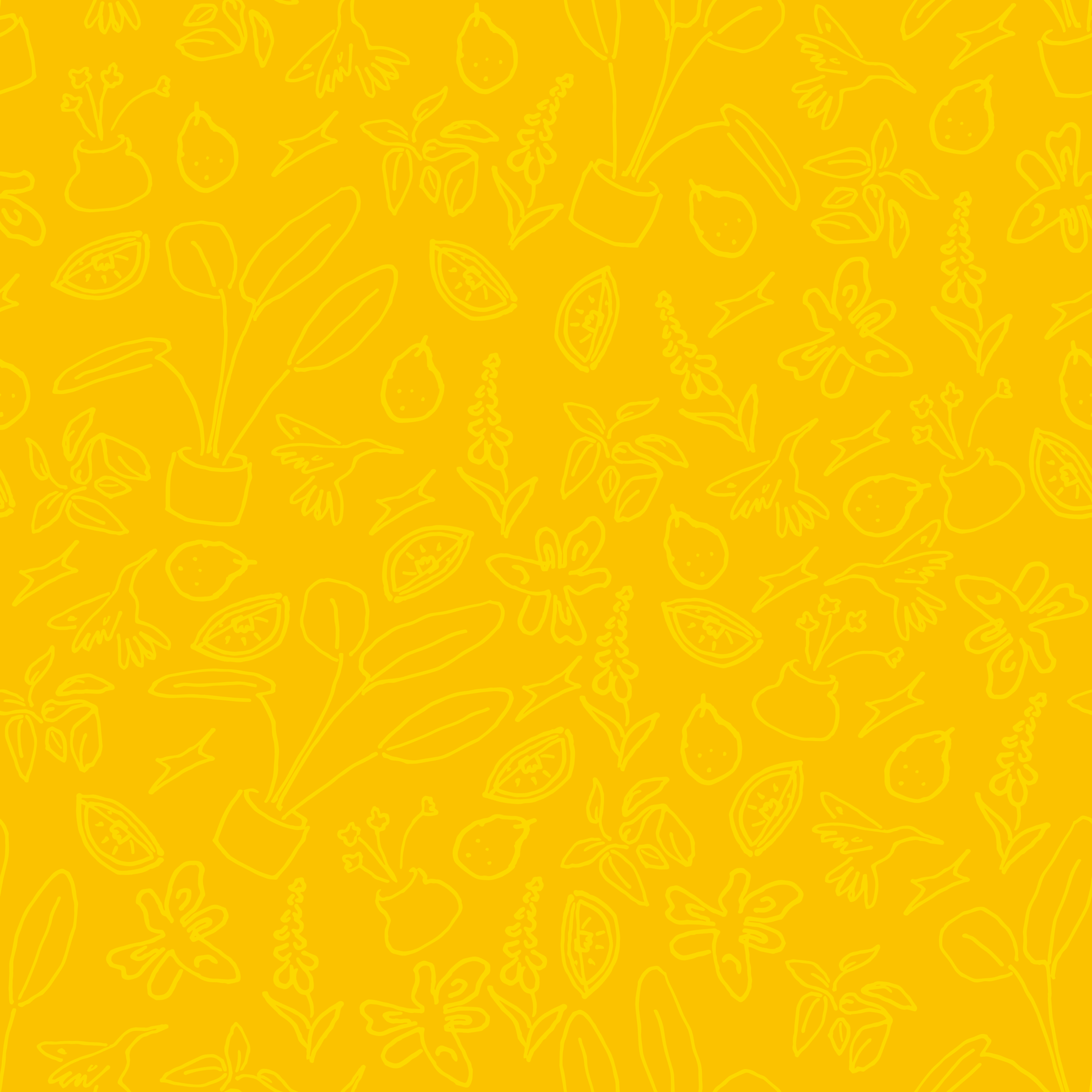 decorative two toned yellow background with various flora and fauna depicted with a cream color card